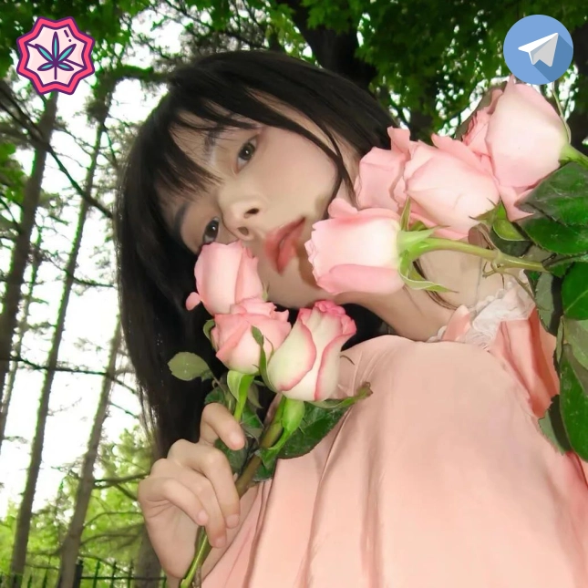 南栀
